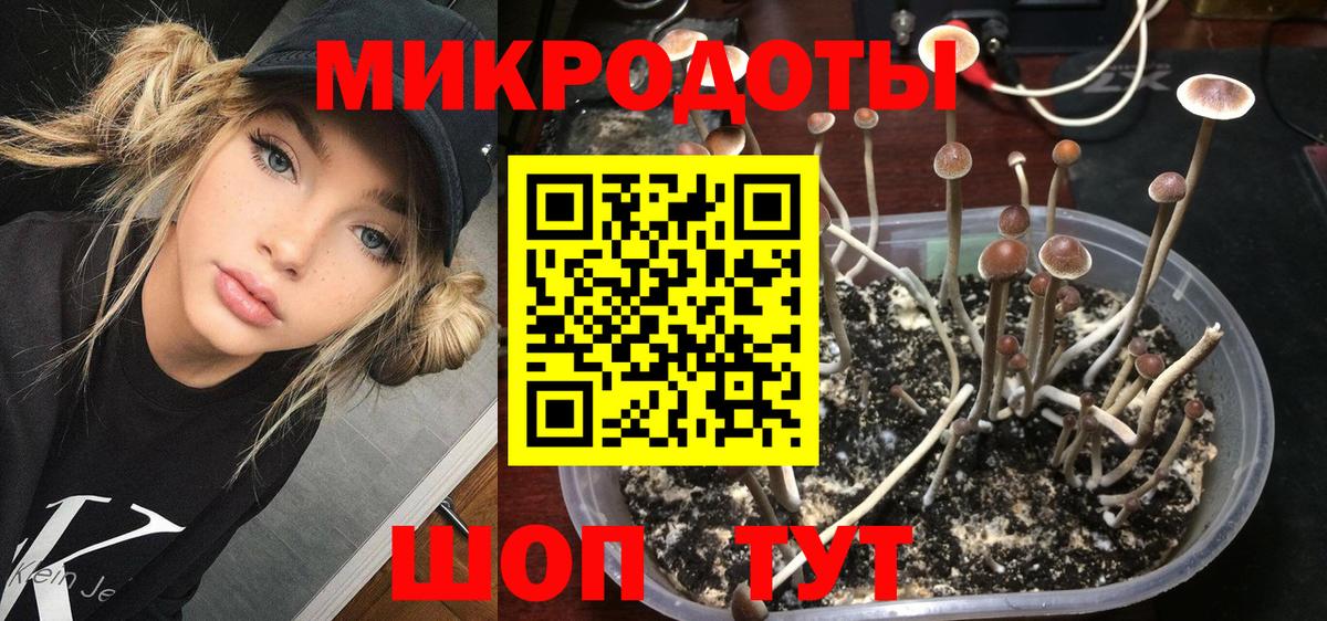 Галлюциногенные грибы Magic Shrooms Воткинск